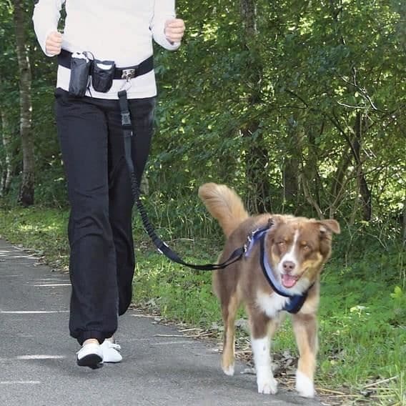 TRIXIE Ventralkoppel med hundkoppel