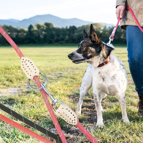 Hundkoppel 2 meter med karbinhake i krom - Rund - ø1 cm - Svart