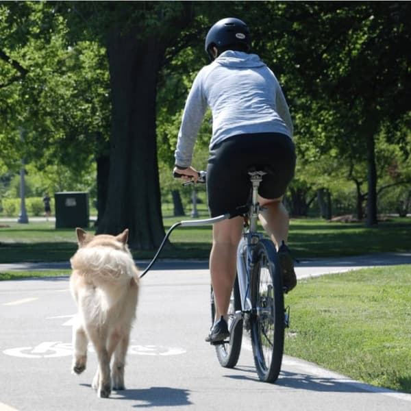 PetEgo Universelt hundebånd Cycleash 85 cm