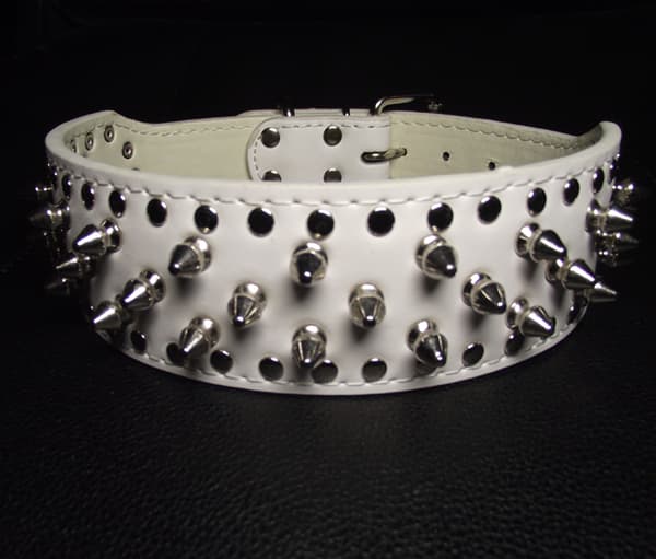 Hund halsband 2" vitt med nitar 44-52cm styling