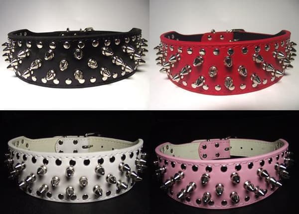 Hund halsband 2" rött med nitar 34-42cm styling