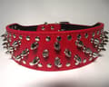 Miniatyrbild 1 av 6: Hund halsband 2" rött med nitar 34-42cm styling