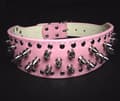 Miniatyrbild 4 av 6: Hund halsband 2" rött med nitar 34-42cm styling
