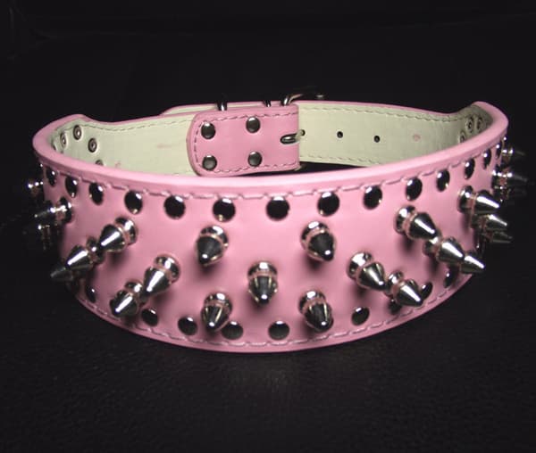 Hund halsband 2" rött med nitar 34-42cm styling