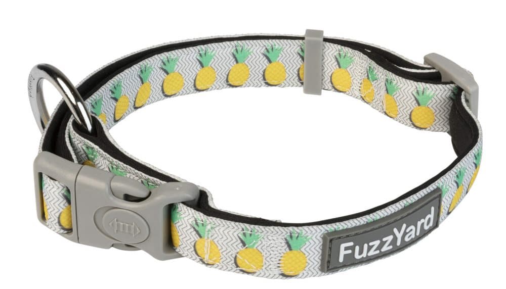 Halsband -Pina Colada- Fuzzyard