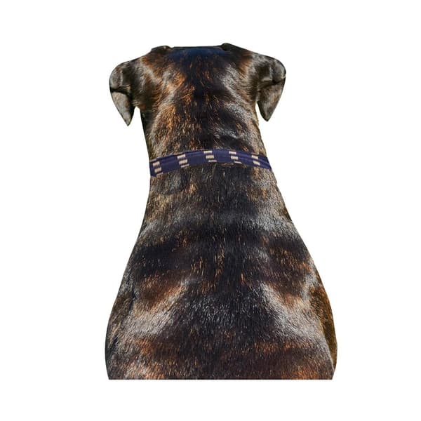 Weatherbeeta Rope Leather Dog Collar