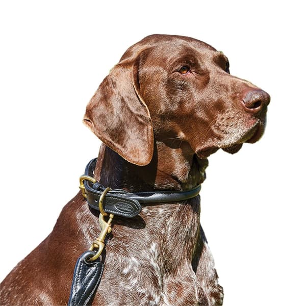 Weatherbeeta Rolled Leather Dog Collar