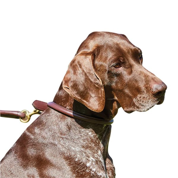 Weatherbeeta Rolled Leather Dog Collar