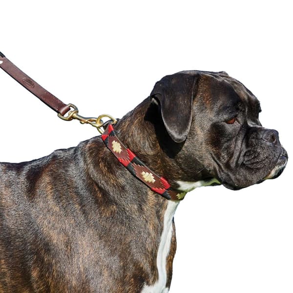Weatherbeeta Polo Leather Dog Collar