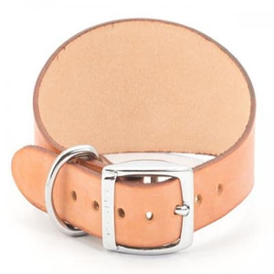 Ancol Greyhound Leather Dog Collar