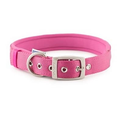 Ancol Nylon Padded Dog Collar