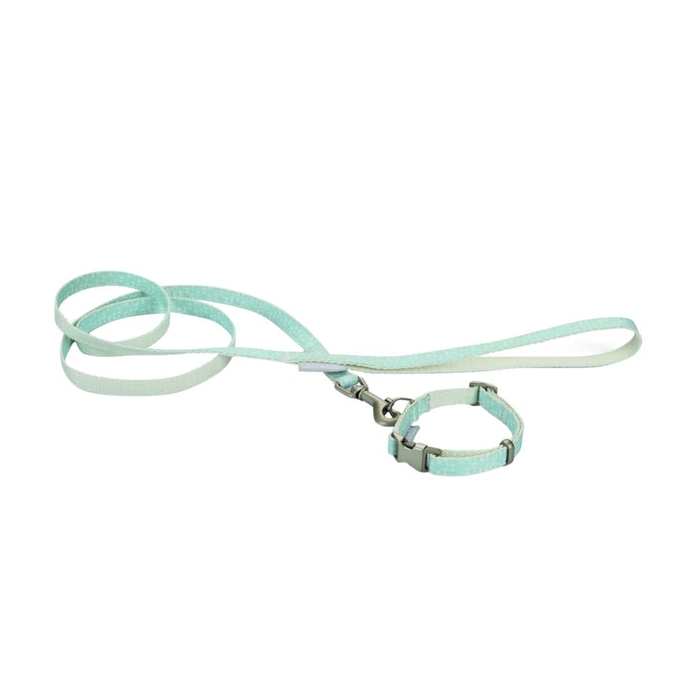 Beeztees Puppy Collar And Lead Set