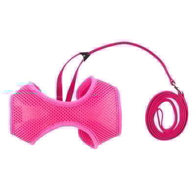Ancol Cat Comfort Harness And Lead Set