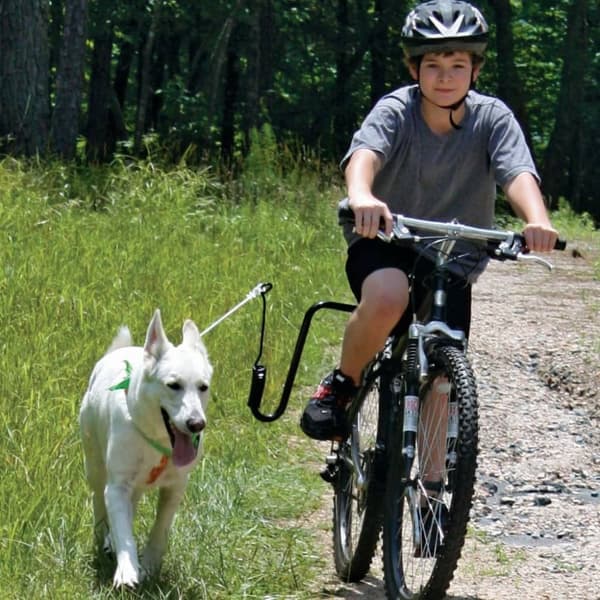 SPRINGER Cykelfäste för hund