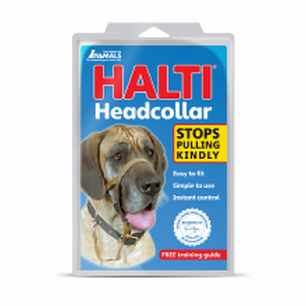 halti head