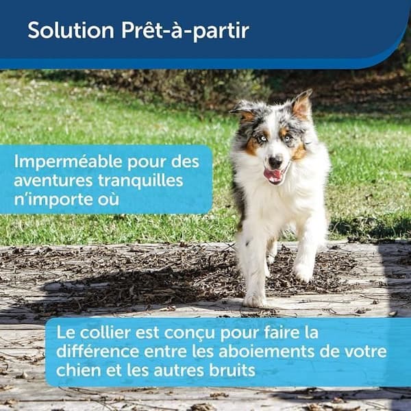Pbc19-10765 Standard Petsafe Bark Control Collar