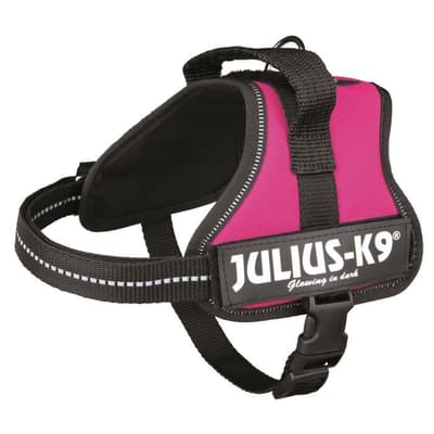 Power Harness Julius-K9 - Mini-Mini - S: 40-53 cm-22 mm - Fuchsia - För hundar