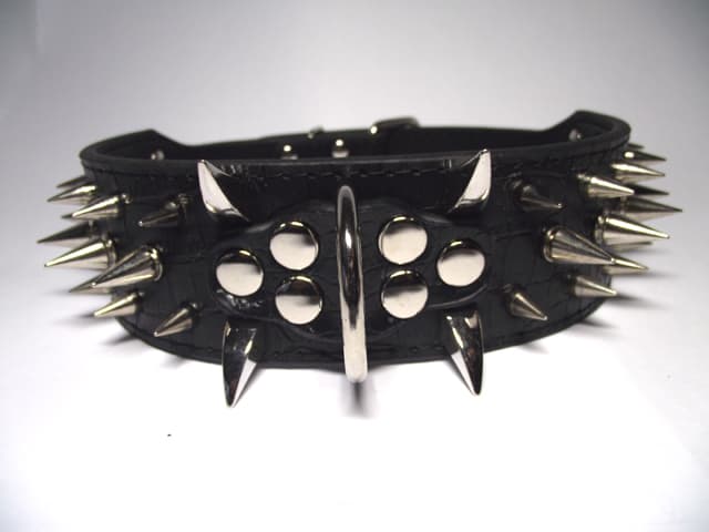 Hund halsband 2" svart med nitar 39-47cm
