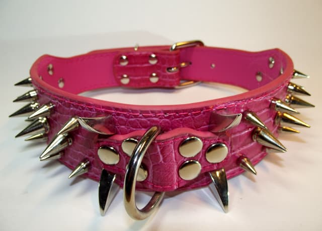 Hund halsband 2" mörk rosa med nitar 44-52cm