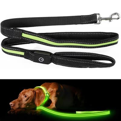 Hundkoppel med LED / Koppel för Hund - 175 cm