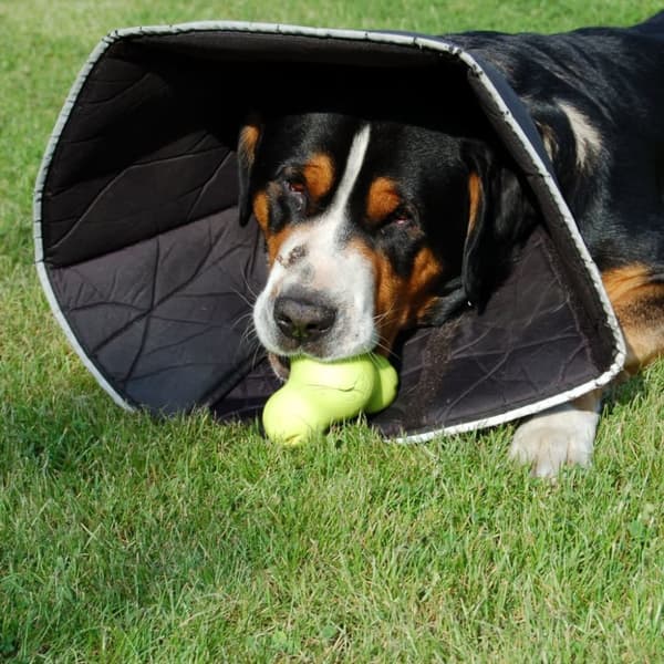 All Four Paws E-kaulus Comfy Cone XL pituus 30 cm musta