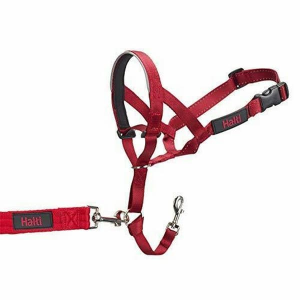 Halti Dog Head Collar