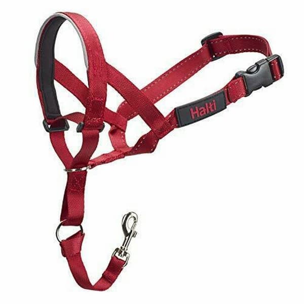 Halti Halsbånd til hundehoved Red 4