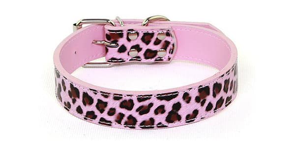 Hundhalsband Läderhalsband Leopard M 2.0 x 42 cm