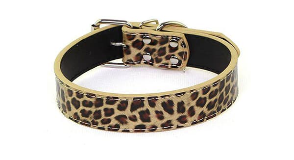 Hundhalsband Läderhalsband Leopard M 2.0 x 42 cm