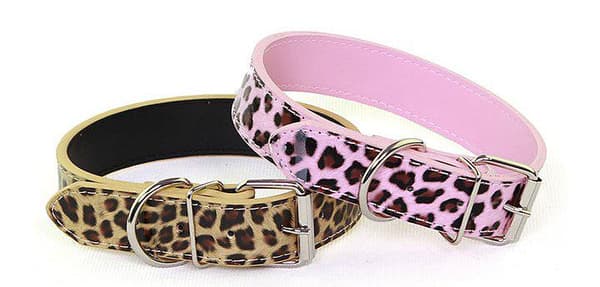 Hundhalsband Läderhalsband Leopard M 2.0 x 42 cm