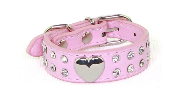Hundhalsband med stenar XS 2.0 x 30 cm