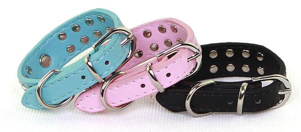 Hundhalsband med stenar XS 2.0 x 30 cm