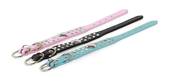 Hundhalsband med stenar XS 2.0 x 30 cm