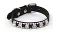 Miniatyrbild 5 av 11: Hundhalsband dekorerad med stenar XS 1.5 x 30 cm