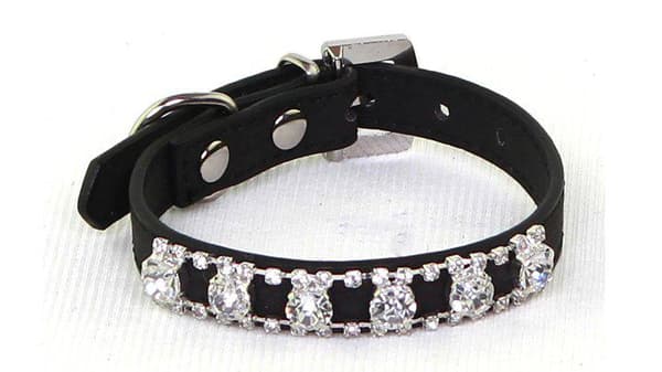 Hundhalsband dekorerad med stenar XS 1.5 x 30 cm