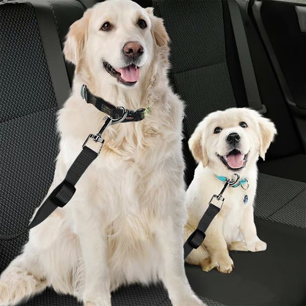 Sikre Din Hund Med et Justerbart Bælte!