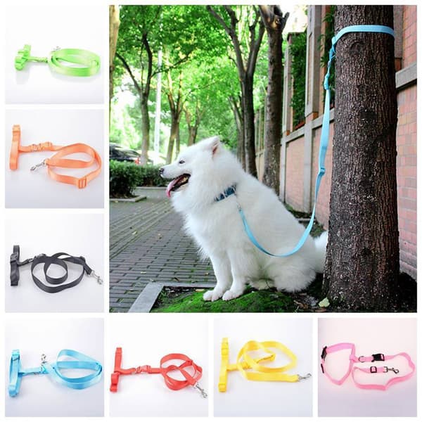 Pet Dog Running Lead Leash Nylon Hands-free Waist Belt Strap