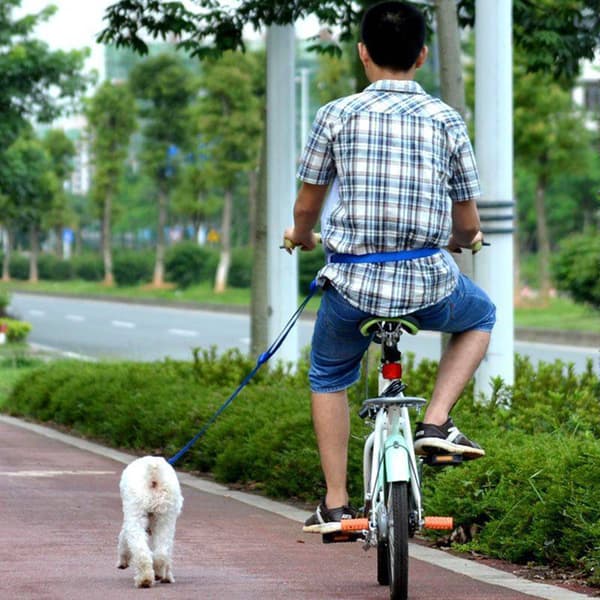 Pet Dog Running Lead Leash Nylon Hands-free Waist Belt Strap
