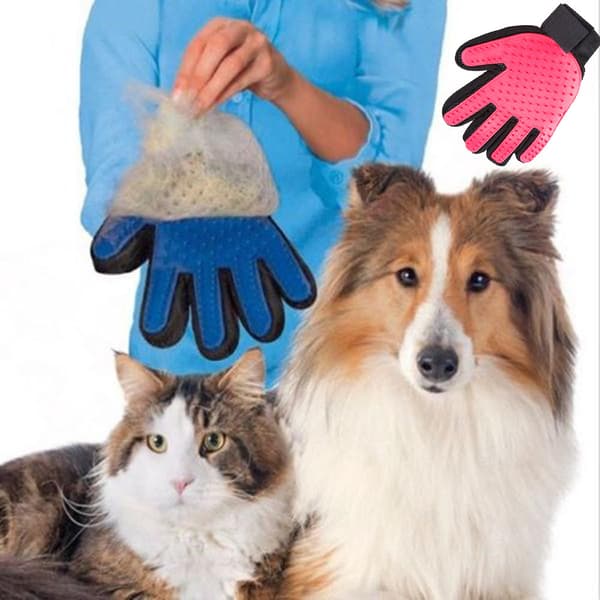 Dog & Cat Grooming - Right Hand Glove