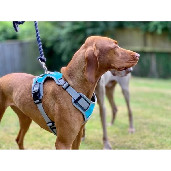 Henry Wag Travel Dog Harness