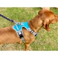 Miniatyrbilde 5 av 5: Henry Wag Travel Dog Harness