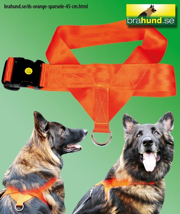 DS Orange Spårsele 45 cm