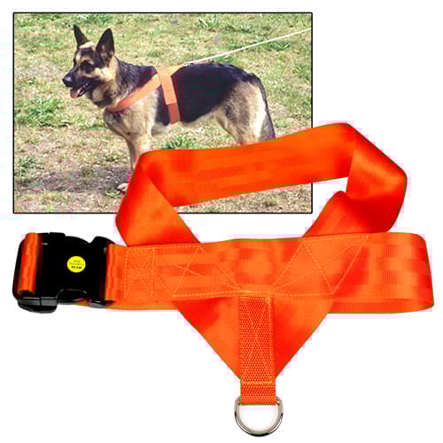 DS Orange Spårsele 45 cm