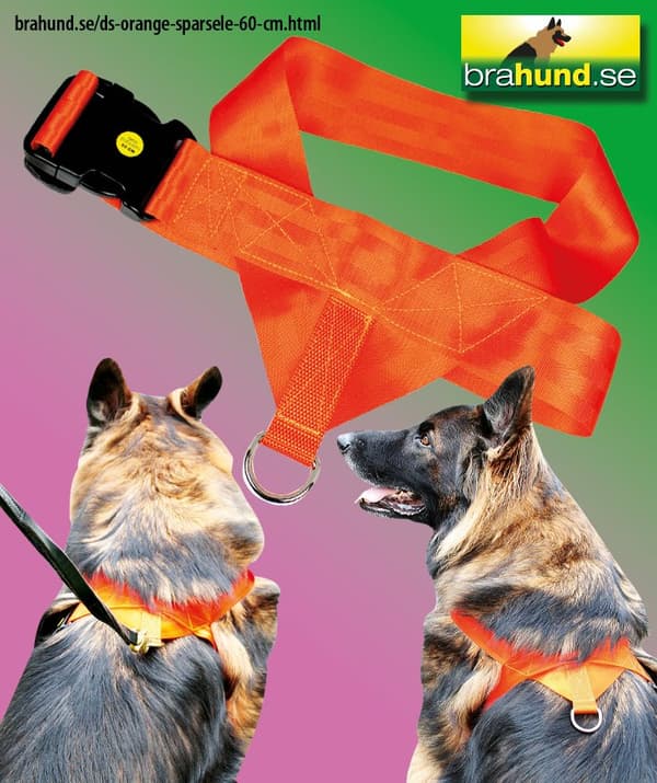 Dog Security Orange Spårsele 60 cm