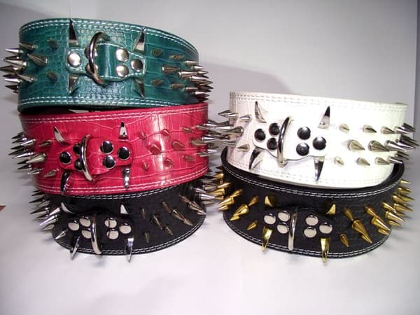 Hund halsband 3" mörk rosa med nitar 54-62cm