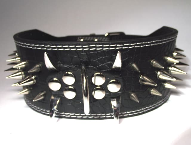 Hund halsband 3" svart med nitar 59-67cm