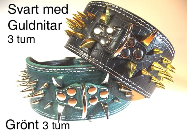 Hund halsband 3" svart med guld nitar 64-72cm