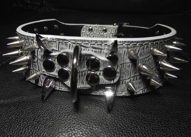 Hund halsband 2" grått med nitar 54-62cm