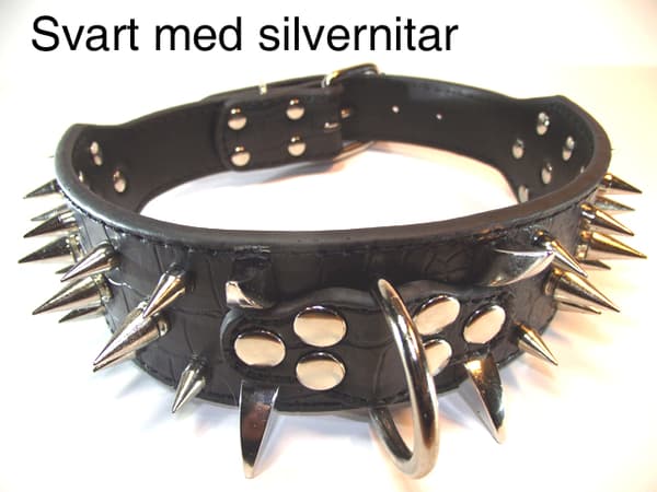 Hund halsband 2" svart med nitar 59-67cm
