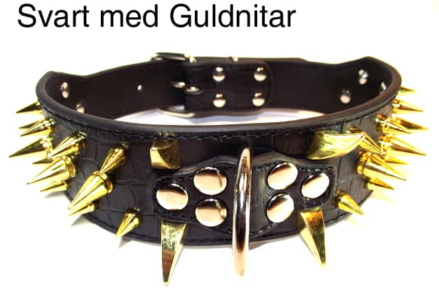 Hund halsband 2" svart med guldnitar 59-67cm